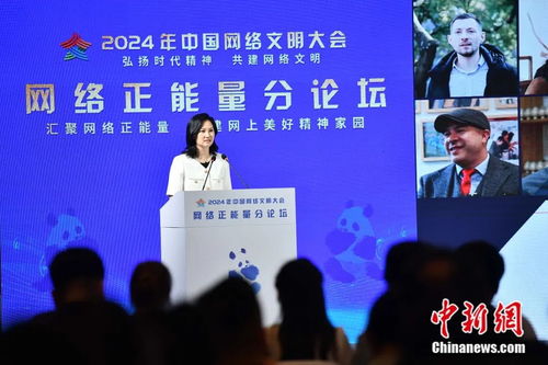 让网络“大流量”持续澎湃“正能量”——伟亚信息的实践启示